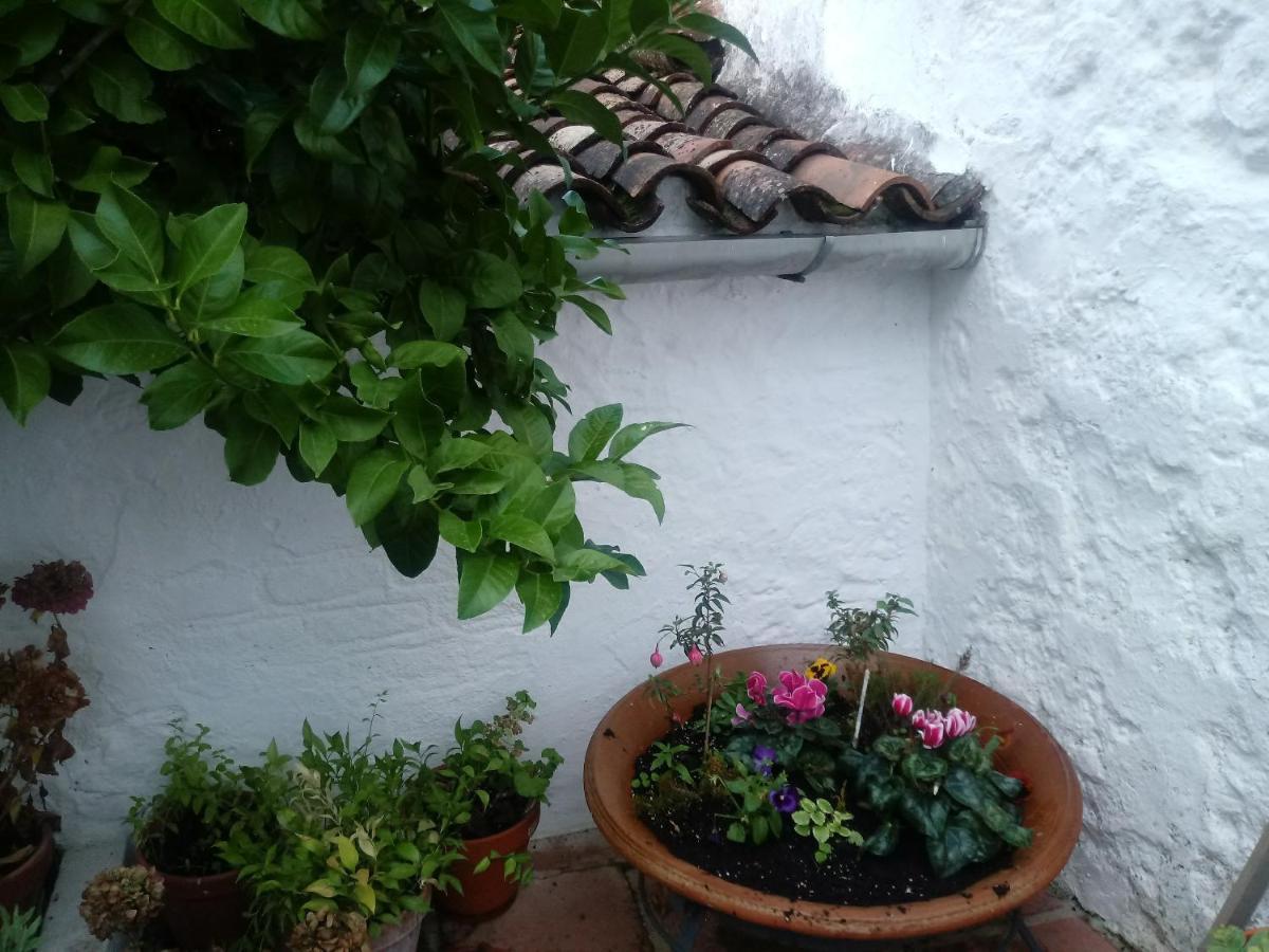 El Horno De La Tobala Holiday home *