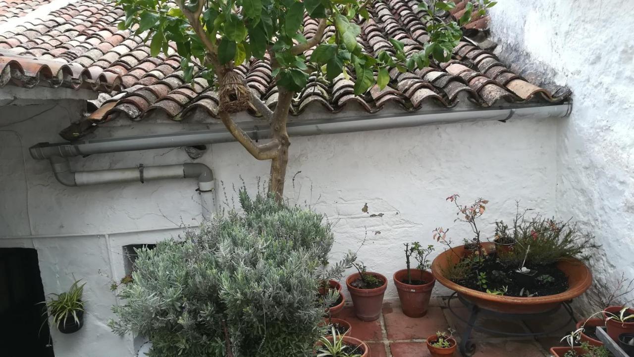 El Horno De La Tobala Holiday home Grazalema